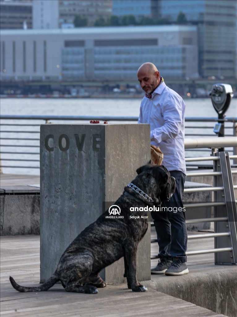 New York'ta günlük yaşam