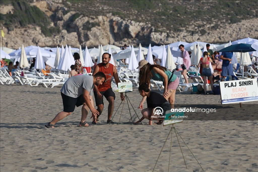 Patara Plajı’nda bu yıl 250 caretta caretta yuvası tespit edildi
