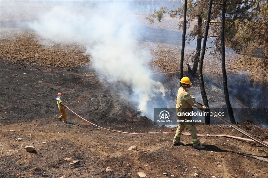 Adana'da çıkan orman yangını kontrol altına alındı