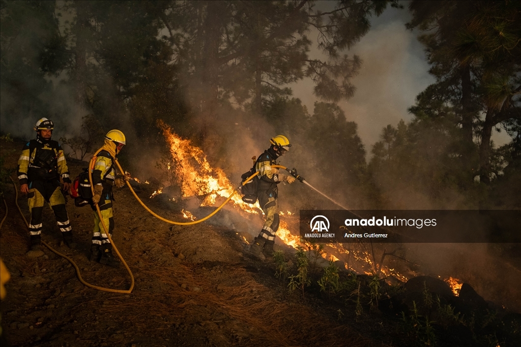 Forest fires in La Palma