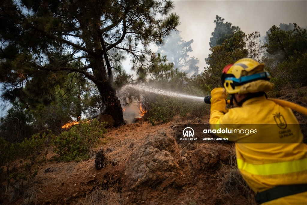Forest fires in La Palma