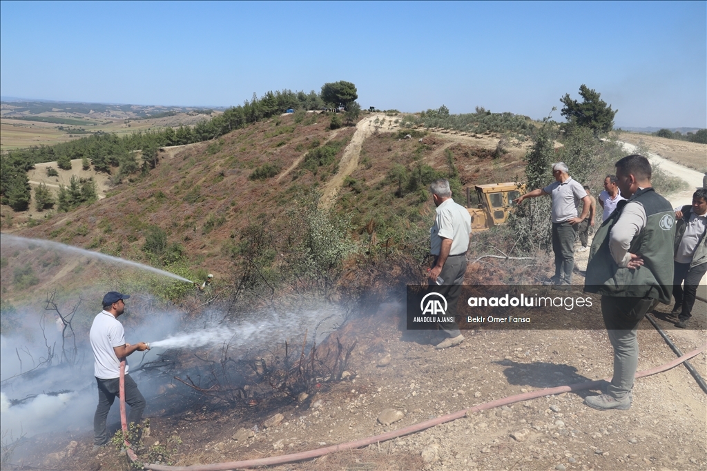 Adana'da çıkan orman yangını kontrol altına alındı