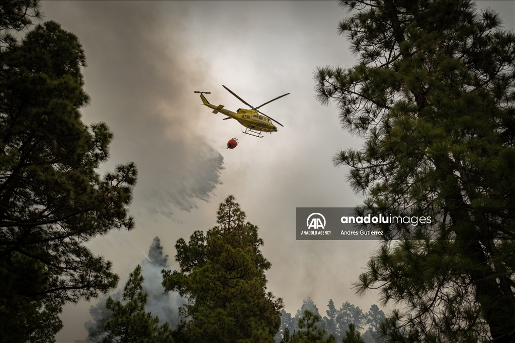 Forest fires in La Palma