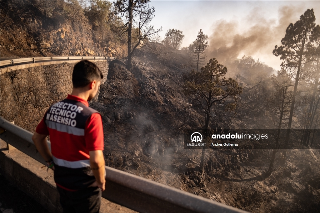 Forest fires in La Palma