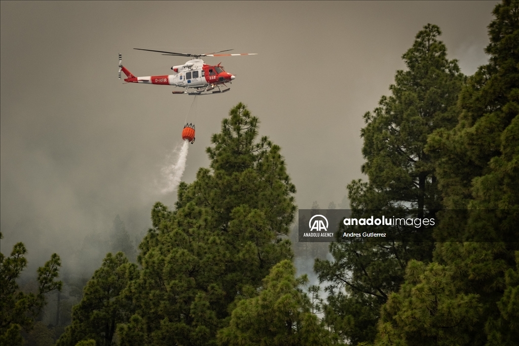Forest fires in La Palma