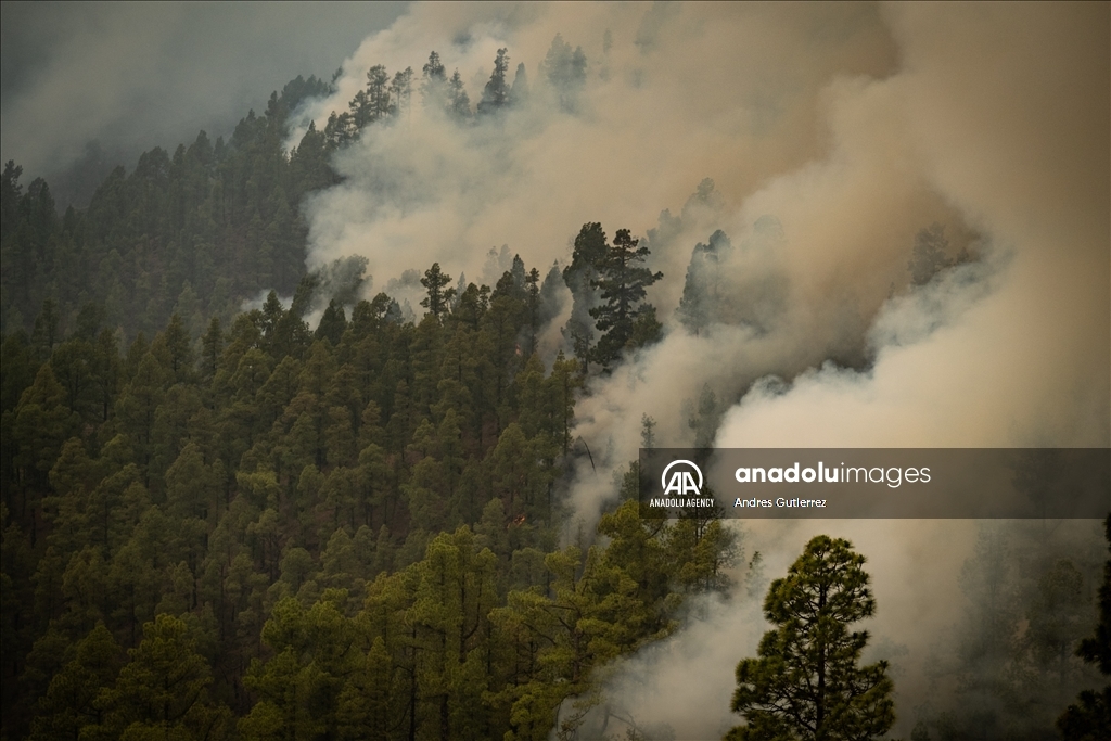 Forest fires in La Palma