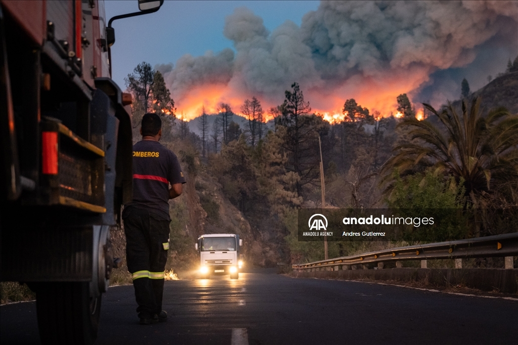 Forest fires in La Palma