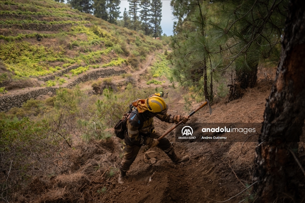 Forest fires in La Palma