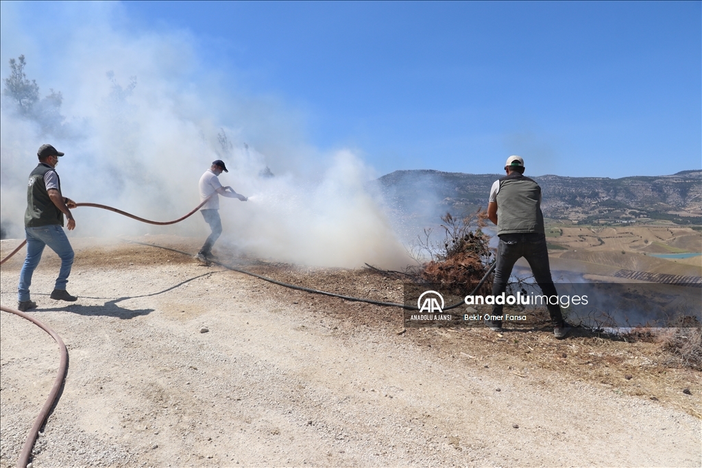 Adana'da çıkan orman yangını kontrol altına alındı