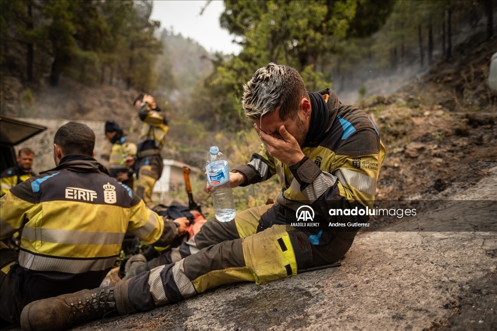 Forest fires in La Palma