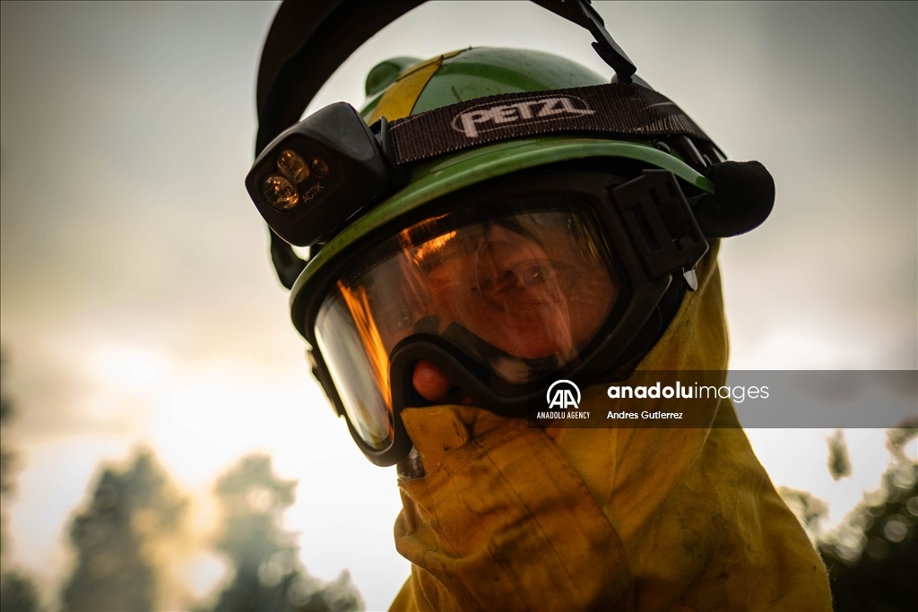 Forest fires in La Palma