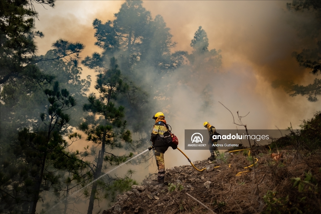 Forest fires in La Palma