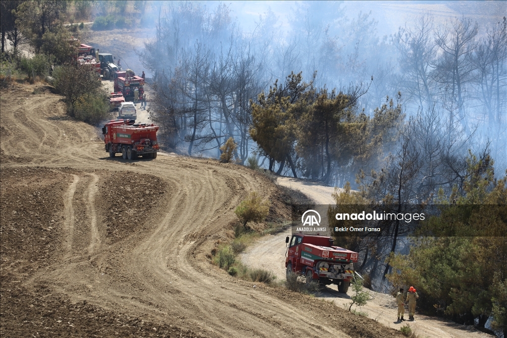 Adana'da çıkan orman yangını kontrol altına alındı