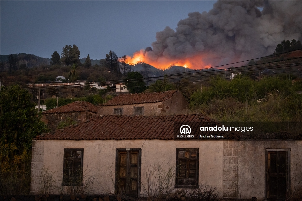 Forest fires in La Palma