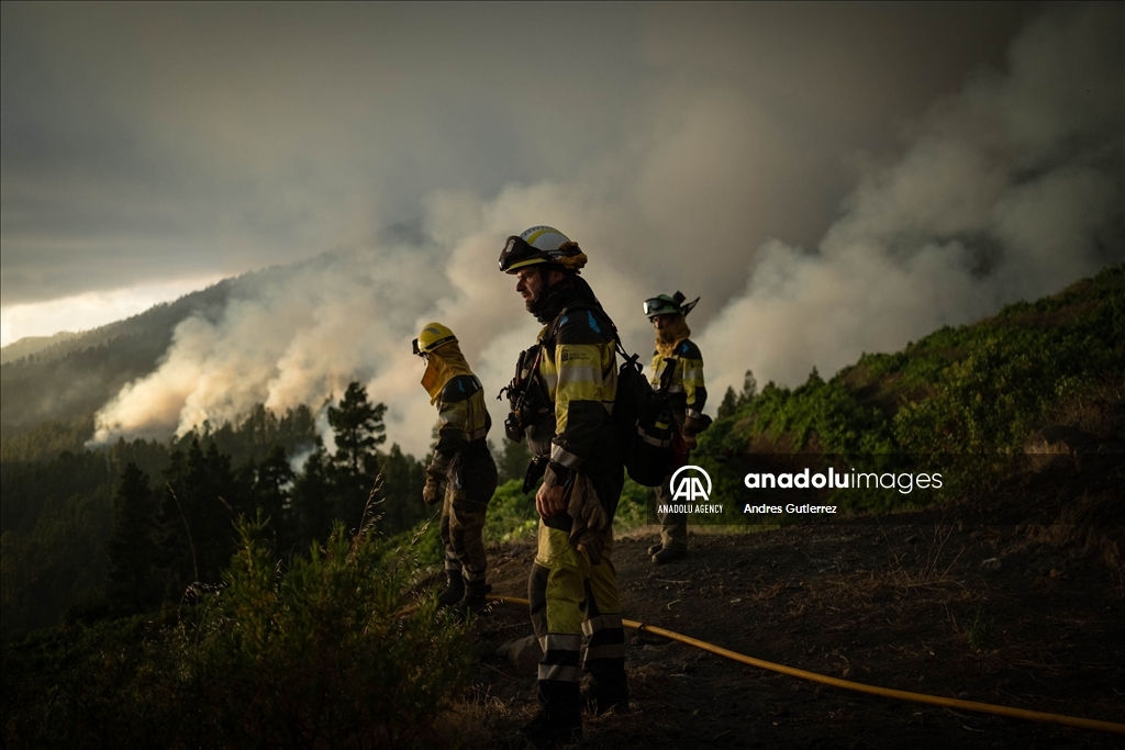 Forest fires in La Palma