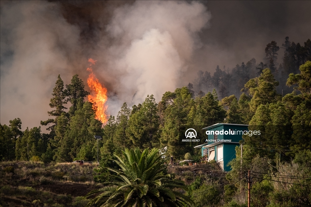 Forest fires in La Palma