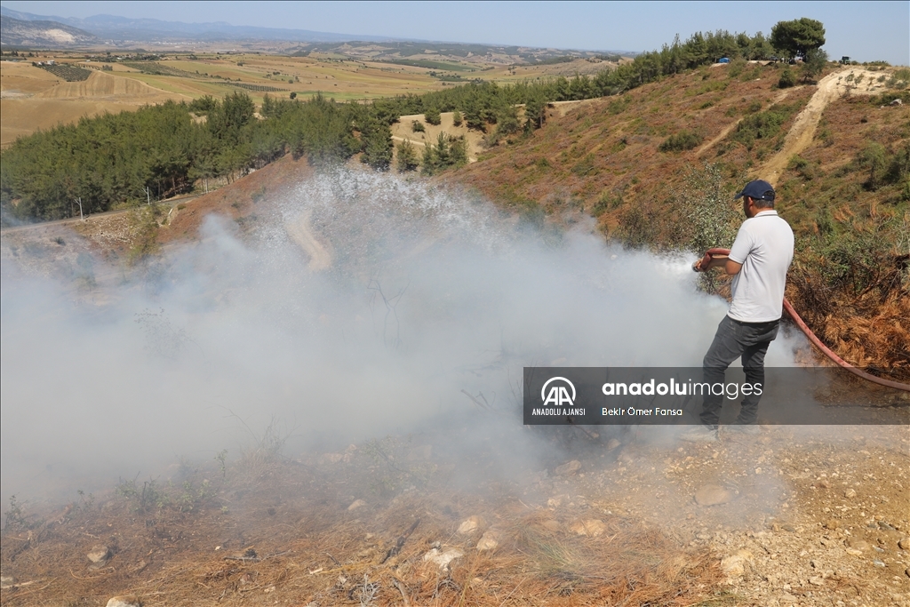 Adana'da çıkan orman yangını kontrol altına alındı