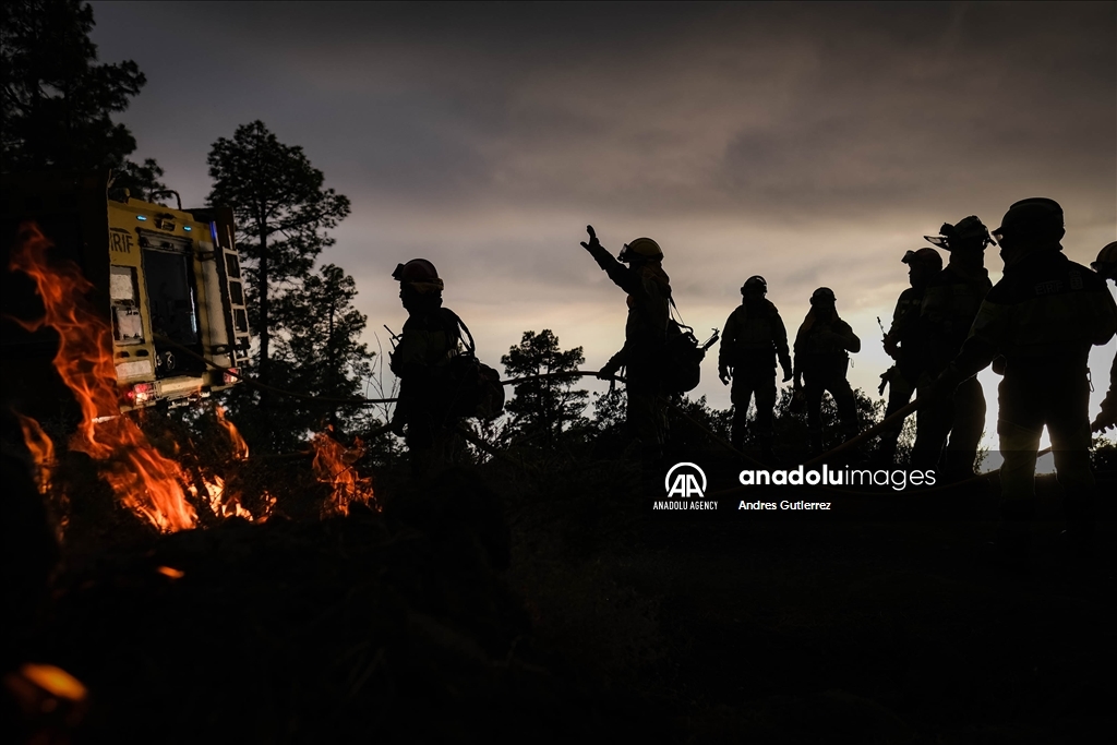 Forest fires in La Palma