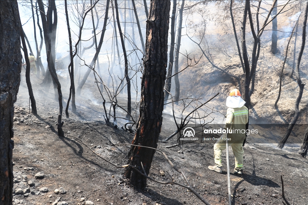 Adana'da çıkan orman yangını kontrol altına alındı
