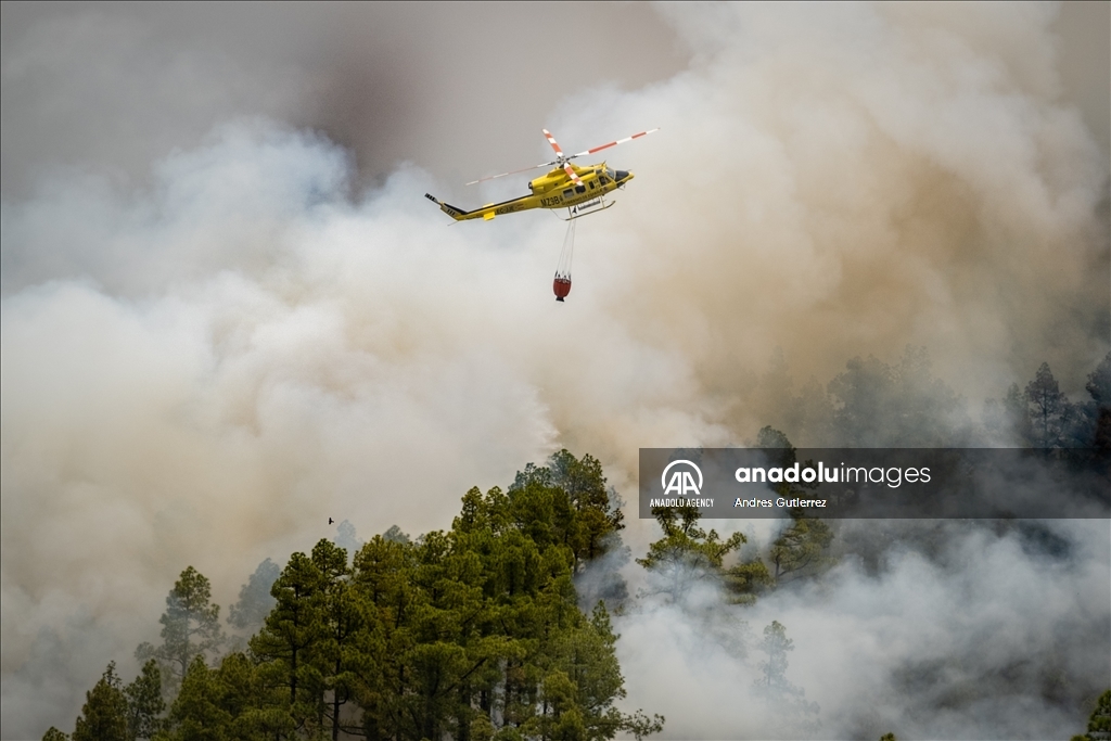 Forest fires in La Palma