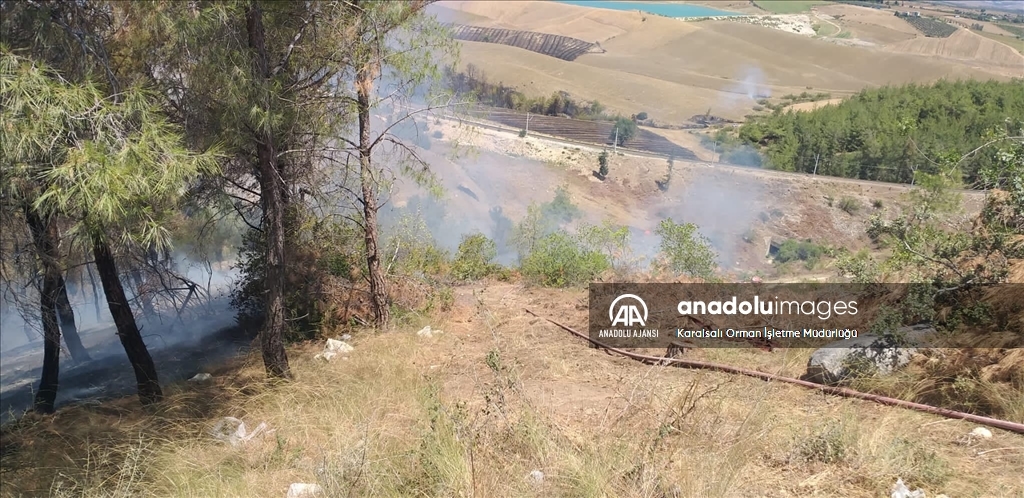 Adana'da orman yangını çıktı