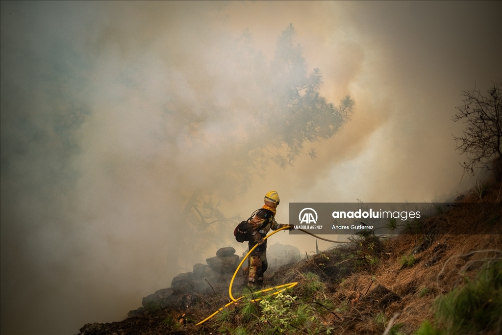 Forest fires in La Palma