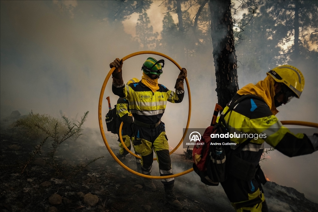 Forest fires in La Palma