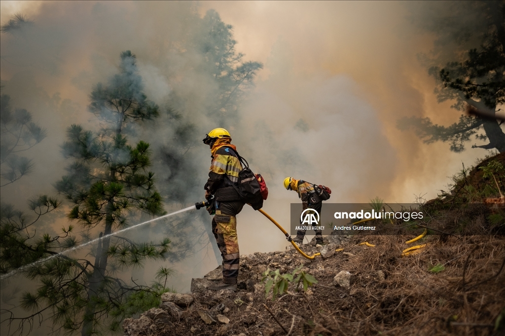 Forest fires in La Palma