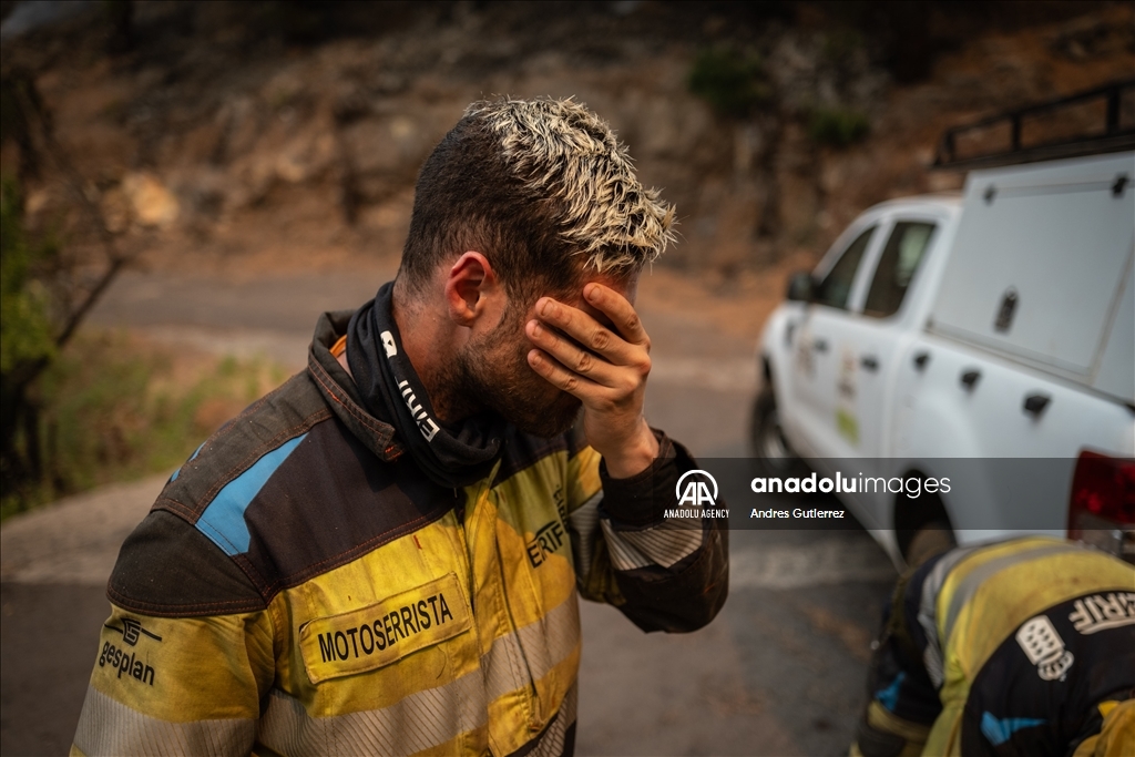 Forest fires in La Palma