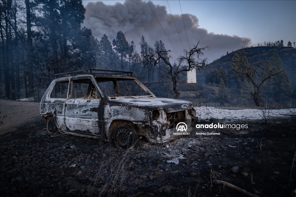 Forest fires in La Palma