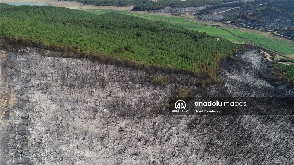 Tekirdağ Malkara'da çıkan orman yangını kontrol altına alındı