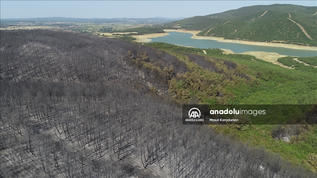 Tekirdağ Malkara'da çıkan orman yangını kontrol altına alındı