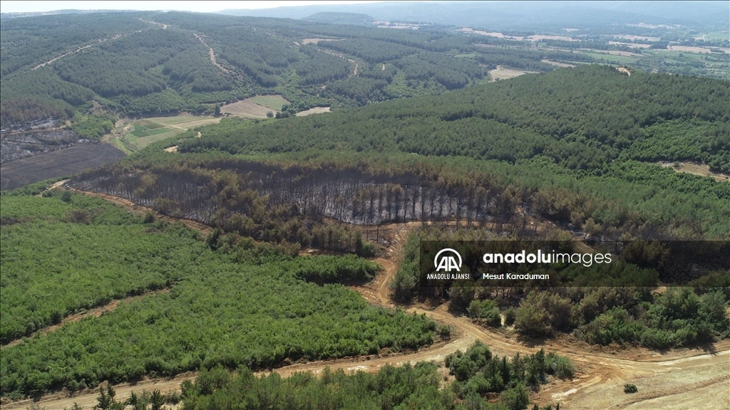 Tekirdağ Malkara'da çıkan orman yangını kontrol altına alındı