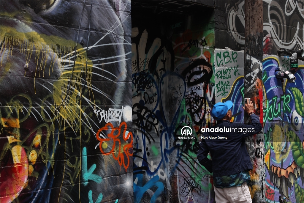 Toronto Grafiti Sokağı