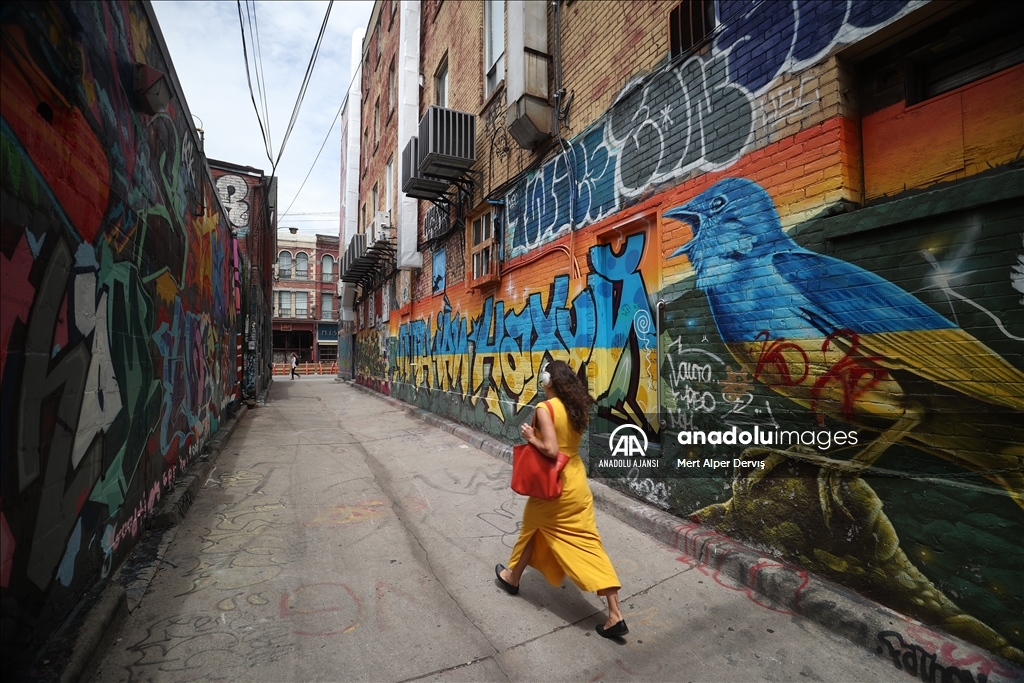Toronto Grafiti Sokağı
