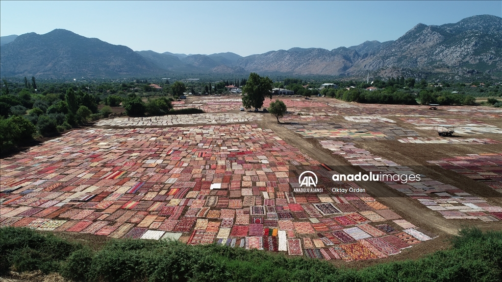 Antalya'daki kavurucu sıcak, tarlalara serilen halıların daha fazla pastelleşmesini sağlayacak