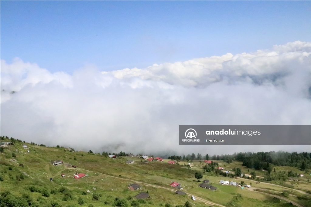 Trabzon ve Giresun sınırında yer alan Sis Dağı Yaylası