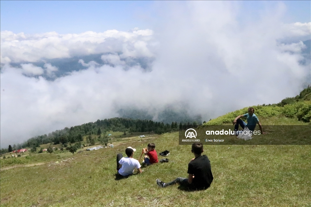 Trabzon ve Giresun sınırında yer alan Sis Dağı Yaylası