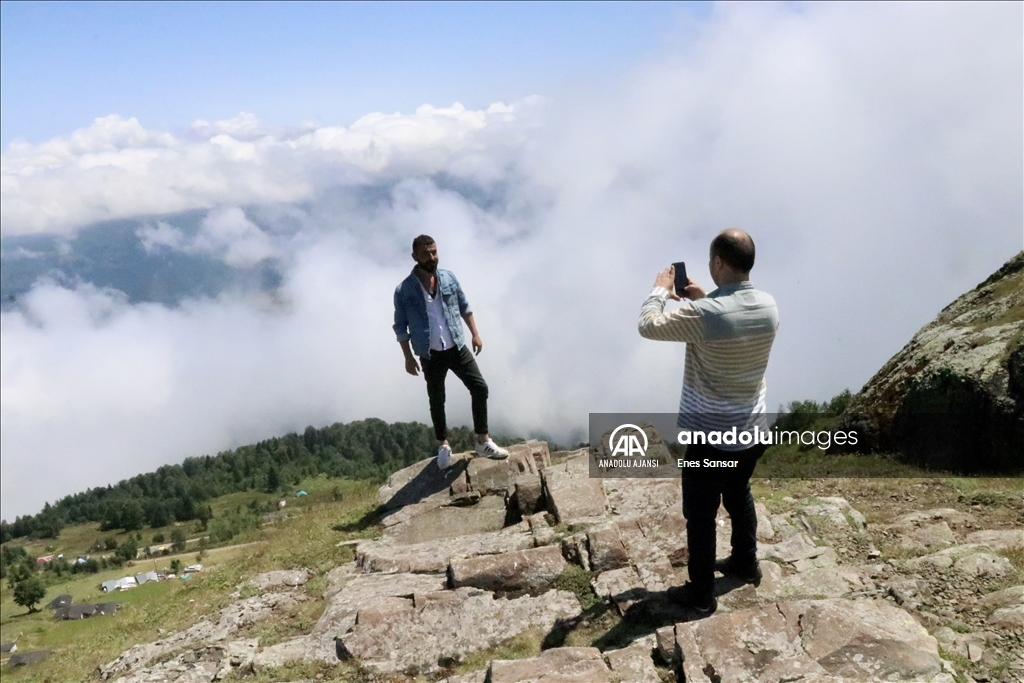 Trabzon ve Giresun sınırında yer alan Sis Dağı Yaylası
