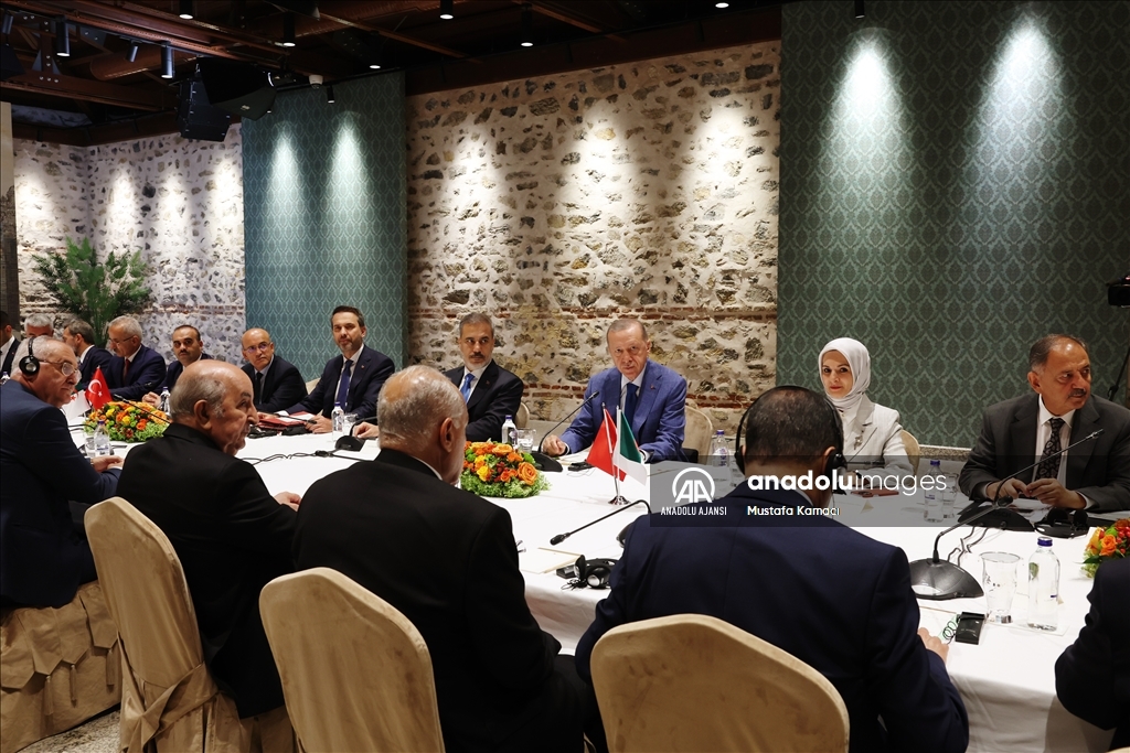 Cumhurbaşkanı Erdoğan - Cezayir Cumhurbaşkanı Tebbun