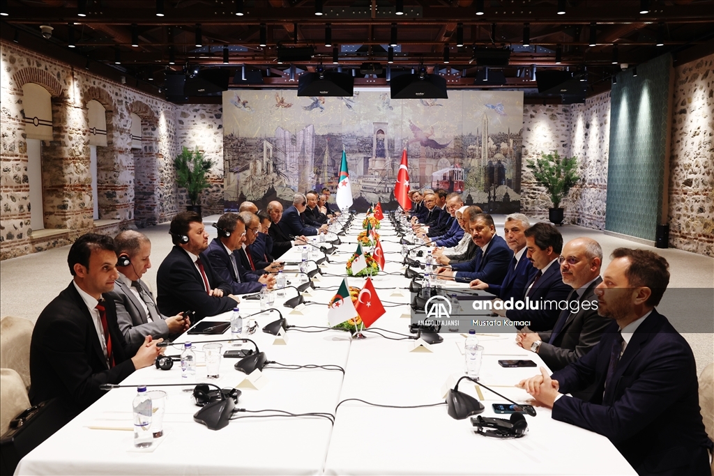 Cumhurbaşkanı Erdoğan - Cezayir Cumhurbaşkanı Tebbun