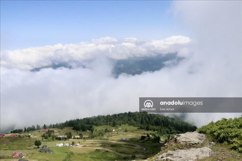 Trabzon ve Giresun sınırında yer alan Sis Dağı Yaylası