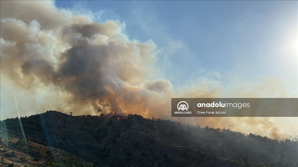 Kahramanmaraş'ta çıkan orman yangınına müdahale ediliyor