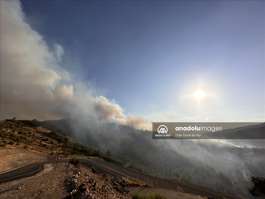 Kahramanmaraş'ta çıkan orman yangınına müdahale ediliyor
