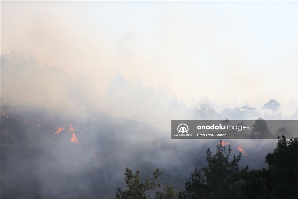 Kahramanmaraş'ta çıkan orman yangınına müdahale ediliyor