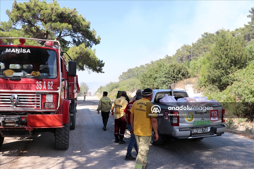 Manisa'nın Saruhanlı ilçesinde orman yangını çıktı