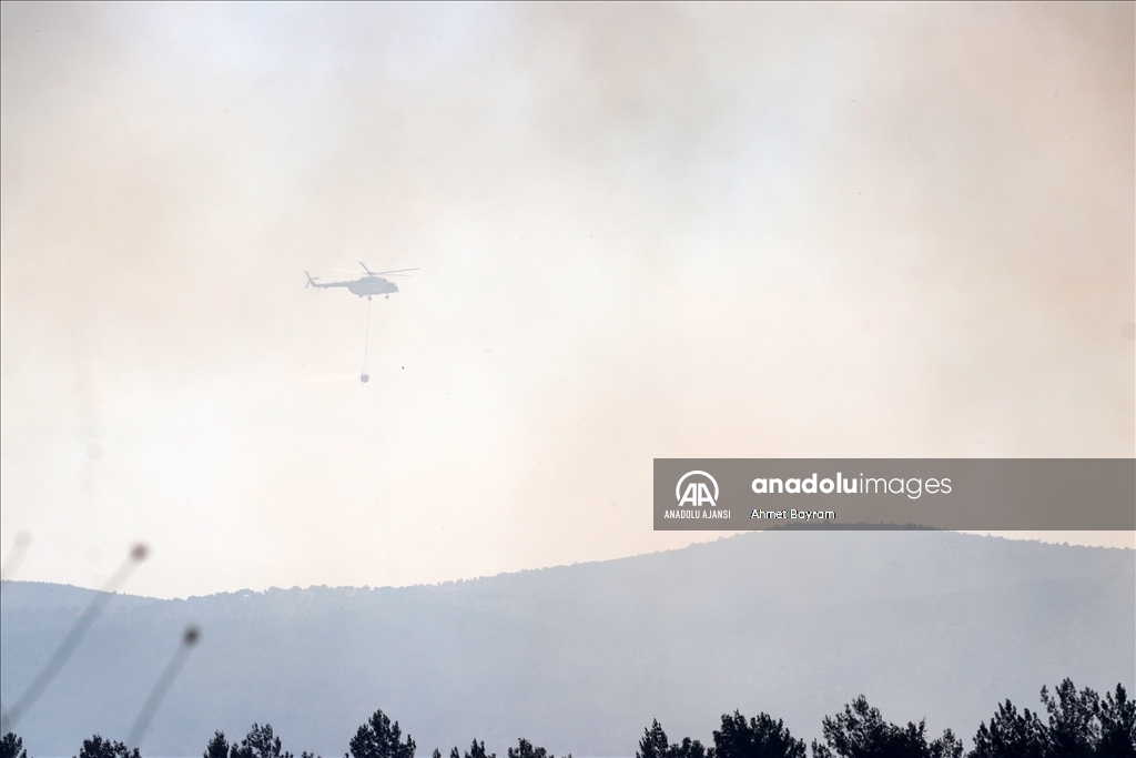 Manisa'nın Saruhanlı ilçesinde orman yangını çıktı