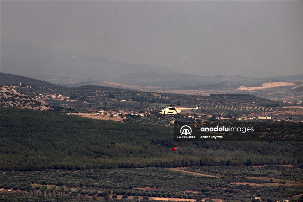 Manisa'nın Saruhanlı ilçesinde orman yangını çıktı