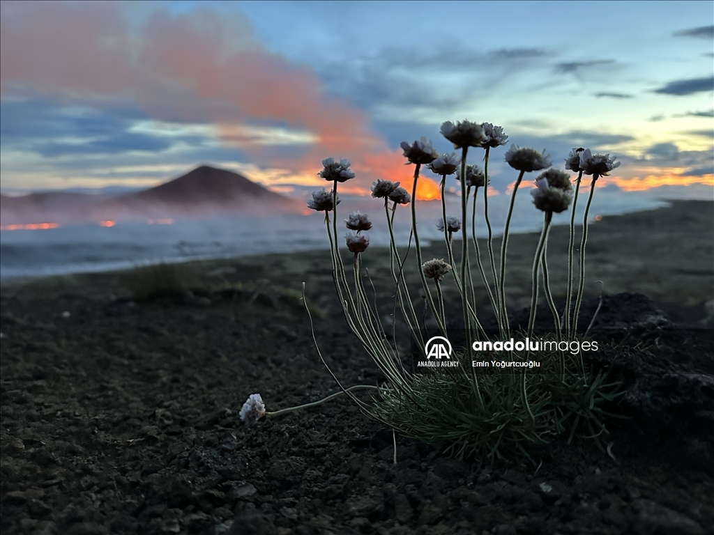 Mount Fagradalsfjall volcano erupts in Iceland