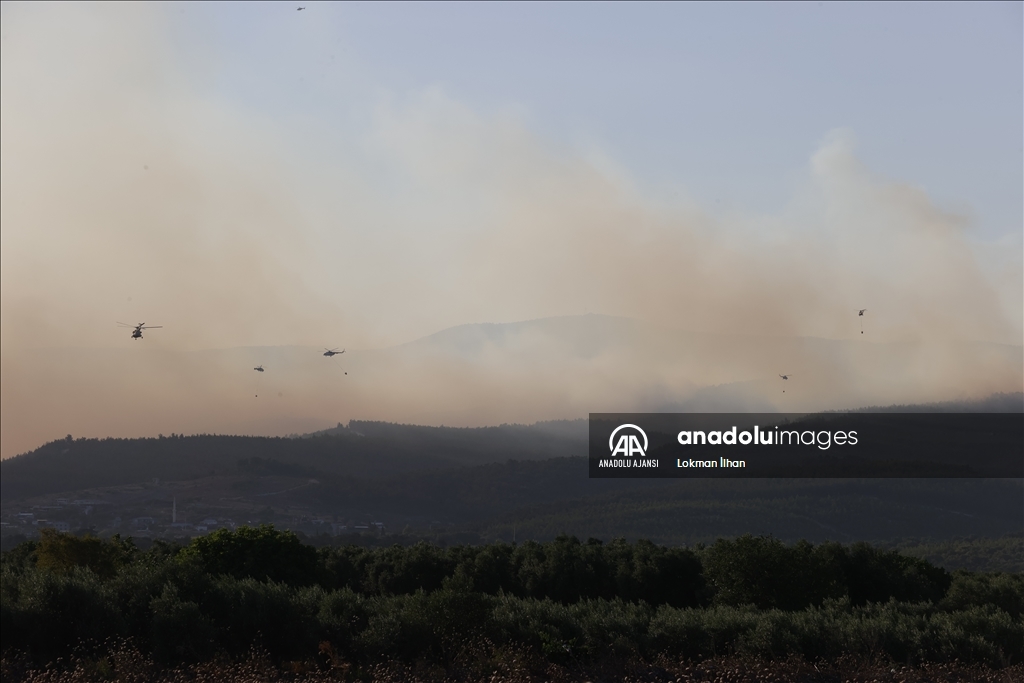 Manisa Saruhanlı’daki orman yangınına müdahale sürüyor
